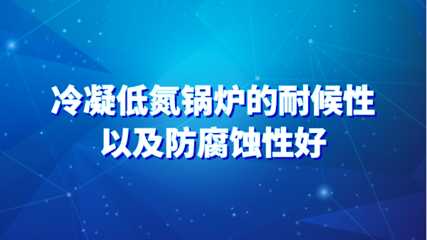 冷凝低氮锅炉的耐候性以及防腐蚀性好