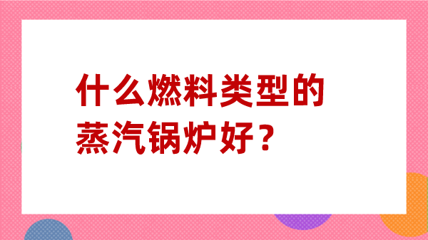 什么燃料类型的蒸汽锅炉好？